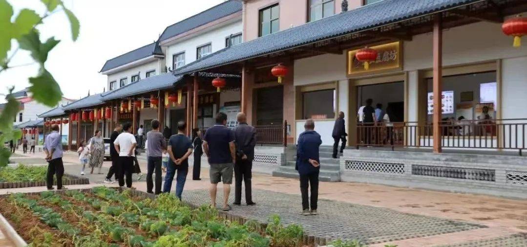 ：三产并进强根基 蓄势赋能促发展米乐m6看商洛·2024洛南县(图2)