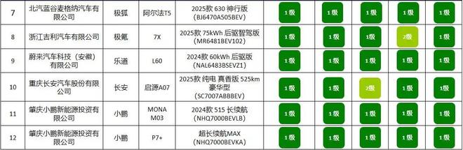 型公布买车请认准这个标电耗表现亮眼的12款车(图9)